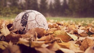 soccer ball in the leaves